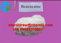 Benzocaine CAS 94-09-7  Benzocaine Hcl Pharmaceutical Raw Materials topical anesthetic