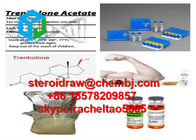 Legal Toremifene Citrate Oral Anabolic Steroids for Women Rreats Gynocomastia 89778-27-8