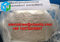 oral Anabolic Steroid Hormone D-Bol Methandienone/Dianabol CAS 72-63-9