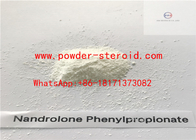 Nandrolone Steroid Raw Powder Nandrolone Phenylpropionate NPP