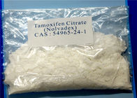 Green High Purity Steroid Powder Tamoxifen CAS 10540-29-1 Frrom China