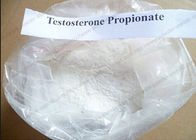 Training Powder Testosterone Steroids Testosterone Propionate CAS 57-85-2