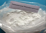 Muscle Building Testosterone Steroids Testosterone Phenylpropionate CAS 1255-49-8