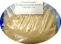 Turinabol Raw Steroid Powders Clostebol Acetate / 4-Chlorotestosterone Acetate