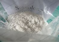 Raw 99% Stanolone /Androstanolone Powders CAS 521-18-6 from China