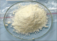 Muscle Building Powder Trenbolone Steroids Tibolone CAS 5630-53-5