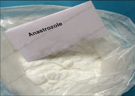Oral &amp; Injectable Anabolic Steroid Anastrozole Acetate CAS 120511-73-1 for Male Bodybuilding Supplement
