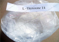CAS 51-48-9 Weight Loss Steroids , Levothyroxine Sodium L-Thyroxine / T4 hormone powders