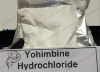 Safety and Effective Male Sex Hormones Powder Yohimbine Hydrochloride CAS 65-19-0
