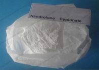 CAS 601-63-8 Nandrolone Steroid Nandrolone Cypionate for Bodybuilding