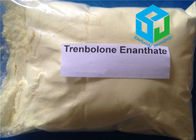 Legal Trenbolone Enanthate 200mg/ml Trenbolone Oil based Injectable steroid solution