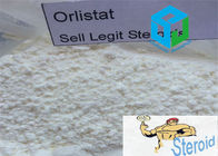 Healthy Orlistat Weight Lose Steroids / Male Muscle Building Steroid 96829-58-2
