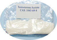 High Purity Raw Steroid Powders Testosterone Acetate for Muscle Growth