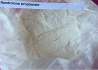 CAS 7207-92-3 Anabolic Nandrolone Steroid / Powder Nandrolone Propionate For Muscle Growth