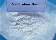 CAS 434-22-0 White Powder Muscle Building Steroids Nandrolone Base