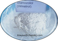 Anabolic Oral Steroids Stanozolol Winstrol For Male Build Up Strength / Muscle Building