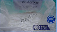 15262-86-9 Testosterone Steroids powder Testosterone isocaproate C25H38O3