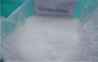 Legal Testosterone Steroids Powder mesterolone CAS 1424-00-6  C20H32O2