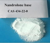 Nandrolone powder nandrolone for bodybuilding C18H26O2 , CAS 434-22-0