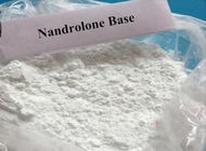 Nandrolone powder nandrolone for bodybuilding C18H26O2 , CAS 434-22-0