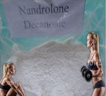 High purity Nandrolone Steroid powder nandrolone decanoate CAS 360-70-3 C28h44O3