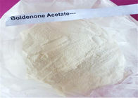 Boldenone Acetate muscle growth steroids Hormone CAS 846-46-0
