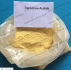 Muscle cutting hormone powder trenbolone acetate for sale