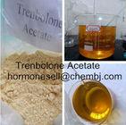 Injectable Anabolic steroids Trenbolone Acetate 100mg/ml muscle building