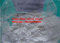 CAS 58-20-8 Muscle Building Steroids Powder Testosterone Cypionate