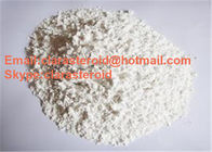106505-90-2 Anabolic Androgenic Steroids Boldenone Cypionate Powder 200mg/ml Injectable