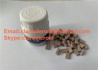 99.5% Purity Testosterone Steroids Turinabol in white powder/pills For Big Muscle