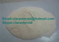 Androgenic Steroids Testosterone Blend/ Testosterone mix with powder/liquid CAS 521-12-0