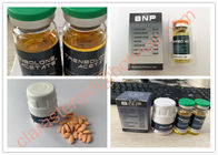 USP Testosterone Enanthate Test E Powder and 250mg/ml Injection
