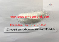 Safety Drostanolone Enanthate Anabolic Injection Masteron Enanthate For Muscle Gaining