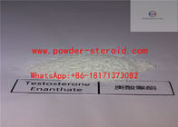 Bodybuilding Steroid Powder Testosterone Enanthate/Test Enanthate For Muscle Gain
