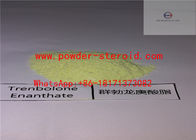 Good Purity Raw Steroid Trenbolone Enanthate / Parabola for Muscle Building Inject Oil