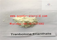 Nature Trenbolone Enanthate injectable steroid liquid for Mass Gains