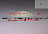 Primobolan Raw Steroid Powders Methenolone Acetate / Primobolone CAS 434-05-9