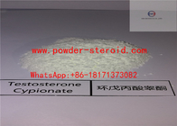 Testosterone Cypionate for Muscle building raw steroid powder