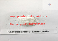 Testosterone enanthate Raw Steroid Powders Androtardyl Bodybuilding Supplements
