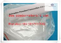 Estrogen Antagonist Raw Hormone Powder Tamoxifen Citrate Nolvadex
