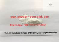 Androgenic Raw Steroid Powders Testosterone Phenylpropionate In White Powder Top Quality
