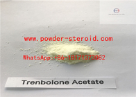Muscle Cutting Cycle Raw Steroid Powders Trestolone Acetate