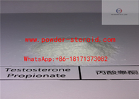 Anabolic Androgenic Steroids Hormone Testosterone propionate Powder
