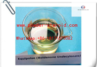 Anabolic Androgenic Steroids Hormone Liquid Yellow oil --Boldenone undecylenate