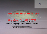 Testosterone Steroids Powder Testosterone Phenylpropionate In Primary Cutting Cycle