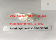 Testosterone Steroid Hormone Methyl-testosterone raw powder for Male Sexual Dysfunction