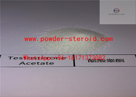 Original Hormone Steroid Testosterone Acetate 1045-69-8 For Bodybuilding