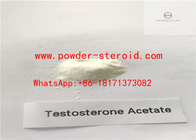GMP Standard Hormone Steroid Testosterone Acetate/Test A In White Raw Powder For man big muscle