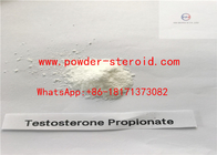 Cutting Cycle Steroids Testosterone Propionate Hormone For Injection Dosage